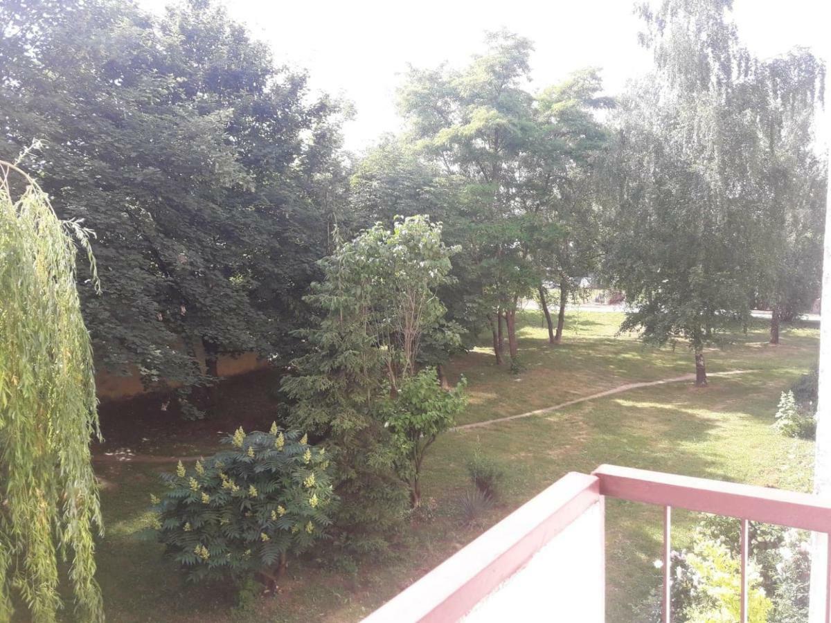 Apartament Królewski Sandomierz Exterior foto